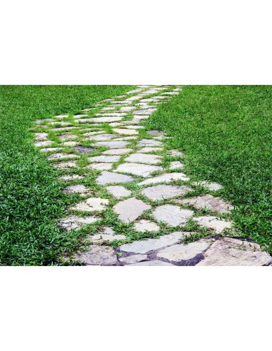 Printemps Herbe Verte Chemin Ardoise Tapis de sol en caoutchouc RM12-52 Comparez plus de prix