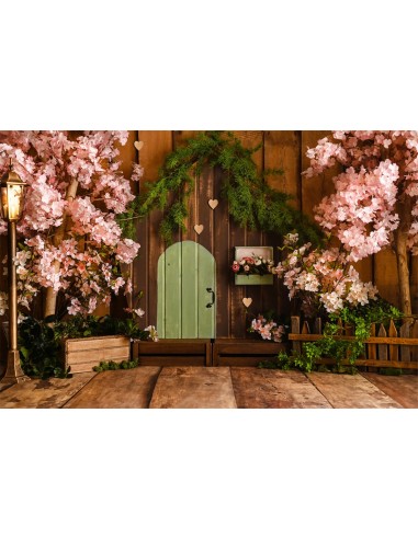 Printemps Sakura Porte en bois Clôture Toile de fond M1-29 Véritable concentré