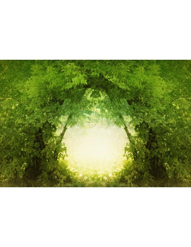 Toile de fond de porte en branches naturelles au cœur d'une forêt dense M1-76 2024