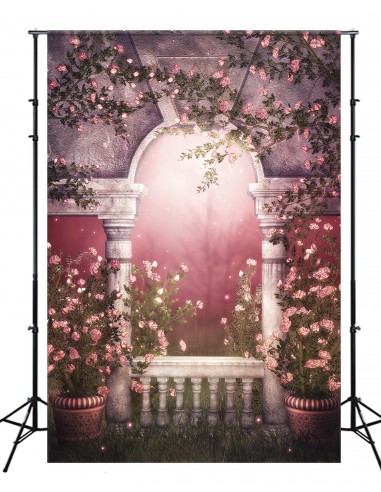 Fantaisie Rose sauvage Vignes entourant le gazebo de marbre Forêt brumeuse Toile de fond M2-17 les muscles