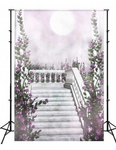 Toile de fond Mystérieux Moonlight Brume de marbre Marches violettes Fleur Vigne M2-19 de la marque