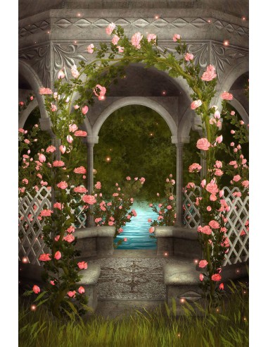 Romantique Rose Roses Sauvages Autour de Gazebo Marbre Ruisseau Forêt Toile de fond M2-18 acheter