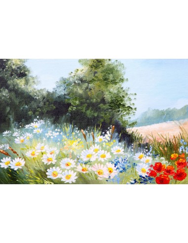 Peinture à l'huile de printemps Petite marguerite Bleu ciel brise Toile de fond RR3-09 outlet