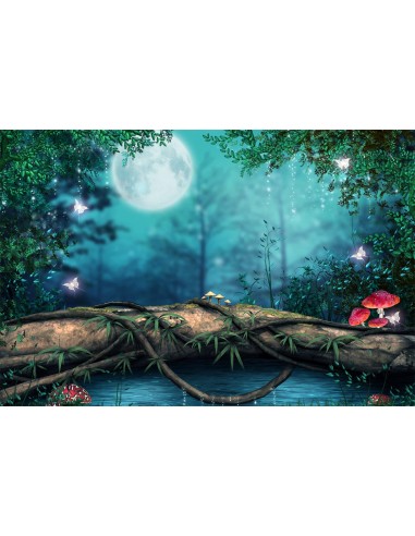 Toile de fond forêt de rêve pleine lune papillon champignon RR3-10 solde