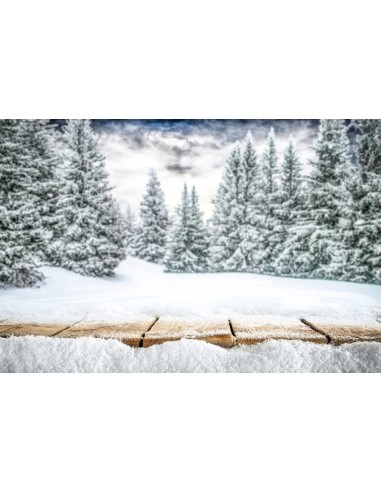 Montagne Hiver Forêt Scène de neige Toile de fond M10-44 des créatures d'habitude