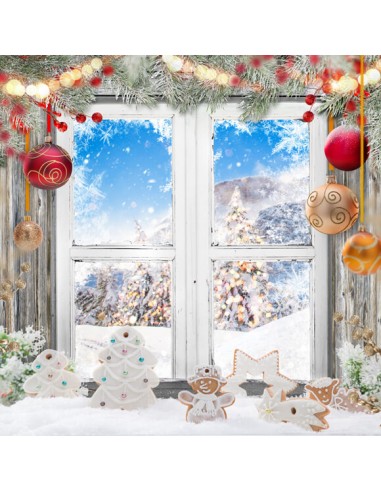 Décor de Noël Fenêtre Neige Toile de fond M10-50 Venez acheter