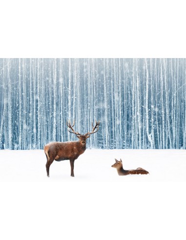 Neige Hiver Forêt Cerf Toile de fond Photographique M11-11 de technologie