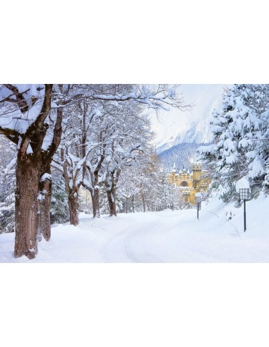 Hiver Neige Arbres Rue Château Toile de fond M11-12 meilleur choix