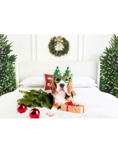 Tête de lit de Noël Rétro Mur Blanc Toile de fond M11-40 est présent 