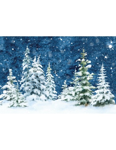 Forêt d'épinettes hivernales Neige Aquarelle Toile de fond M11-46 france