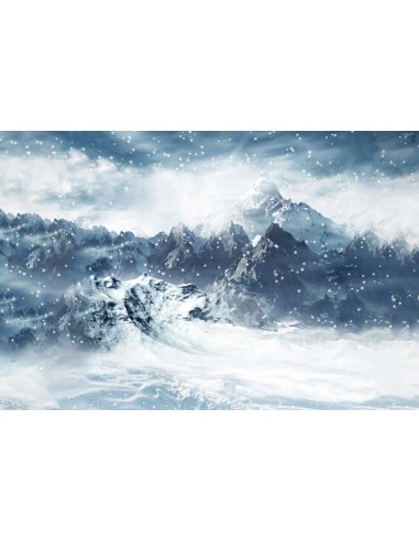 Montagne Neige Glace Paysage d'hiver Toile de fond M11-53 prix