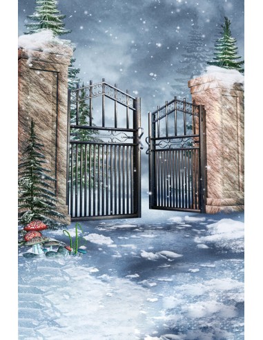 Fantaisie Hiver Porte Neige Forêt Toile de fond M11-52 outlet