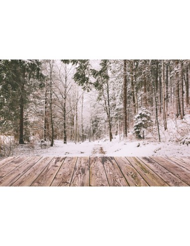 Hiver Neige Forêt Paysage Bois Toile de fond M11-73 Economisez 