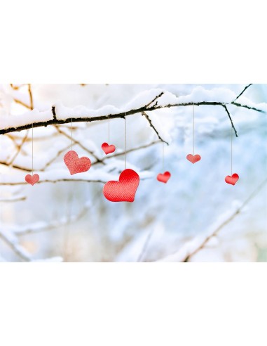 St Valentin Hiver Branche d'arbre enneigée Amour Décoration suspendue Toile de fond M12-17 50% de réduction en Octobre 2024